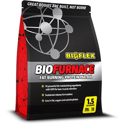 Biofurnace by Bioflex